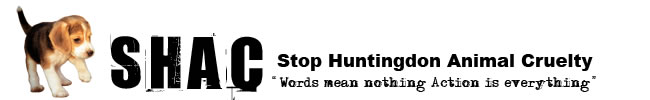 Stop Huntingdon Animal Cruelty